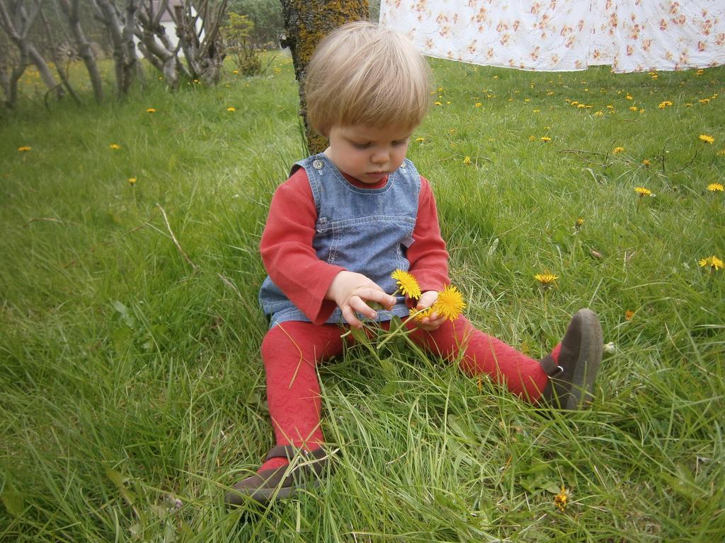 Sireksstadir Farm Holiday Vopnafjorthur Exterior foto