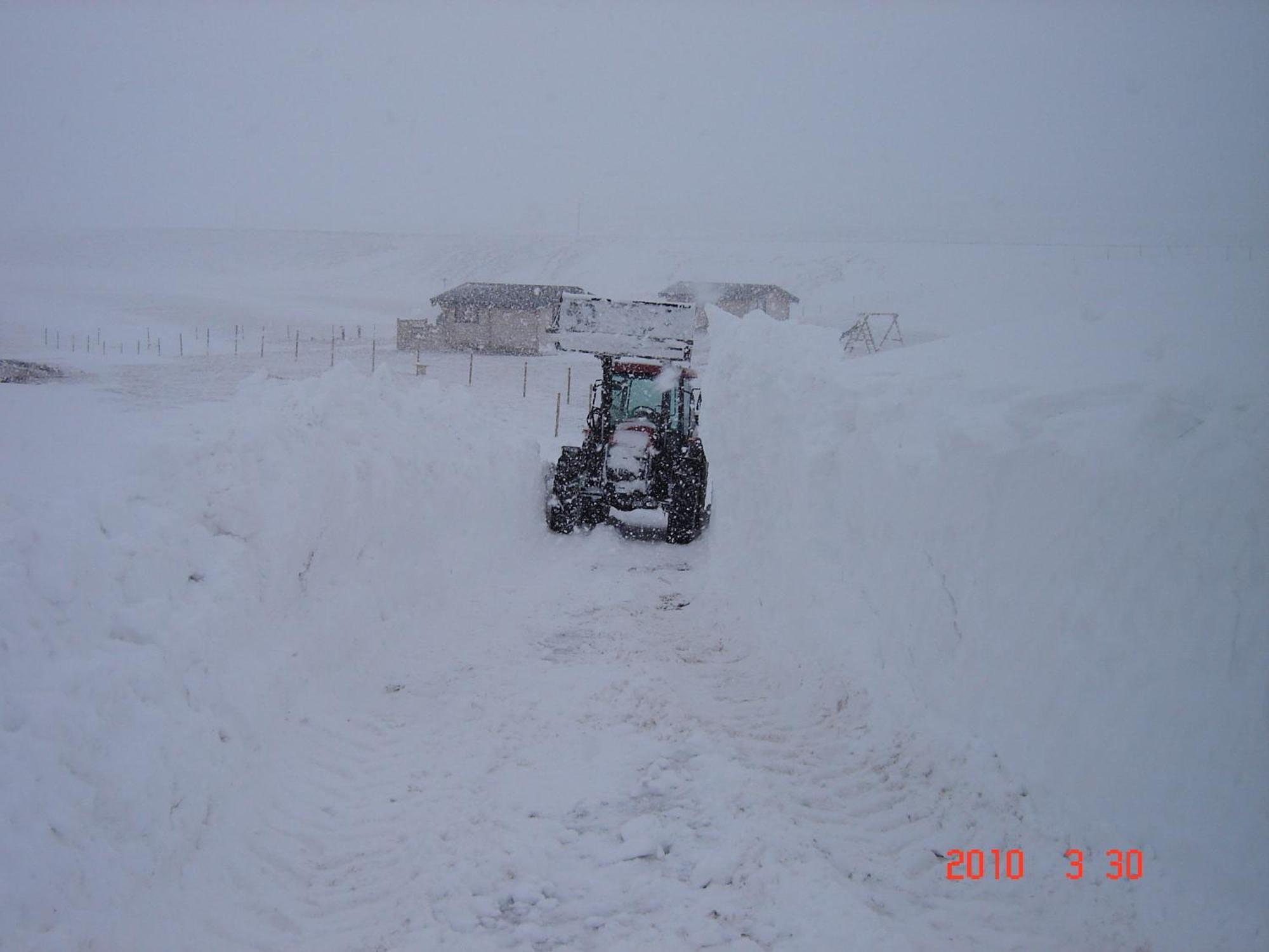Sireksstadir Farm Holiday Vopnafjordur Exterior foto