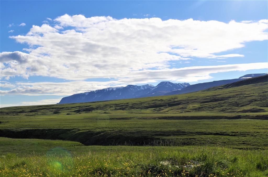 Sireksstadir Farm Holiday Vopnafjordur Exterior foto